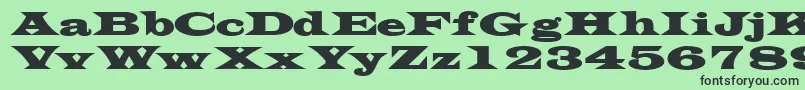 TransversesskBold Font – Black Fonts on Green Background