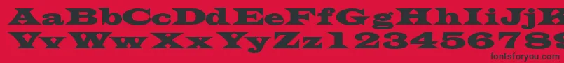 TransversesskBold-Schriftart – Schwarze Schriften auf rotem Hintergrund