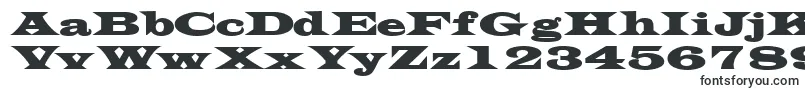 TransversesskBold Font – Fonts for Microsoft Word