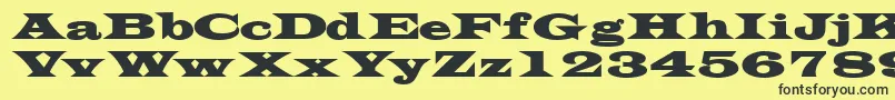 TransversesskBold Font – Black Fonts on Yellow Background