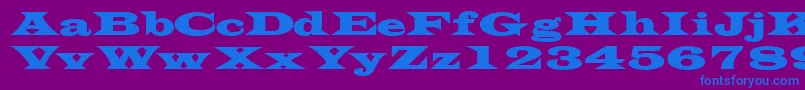 TransversesskBold Font – Blue Fonts on Purple Background