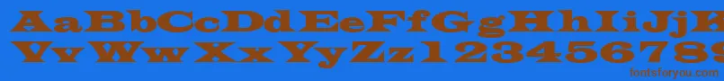 TransversesskBold Font – Brown Fonts on Blue Background