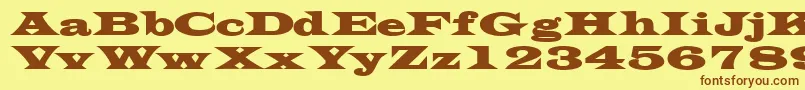 TransversesskBold-fontti – ruskeat fontit keltaisella taustalla