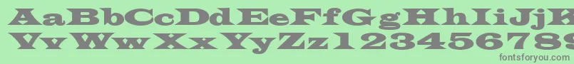 TransversesskBold Font – Gray Fonts on Green Background