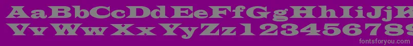 TransversesskBold Font – Gray Fonts on Purple Background