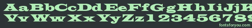 TransversesskBold Font – Green Fonts on Black Background