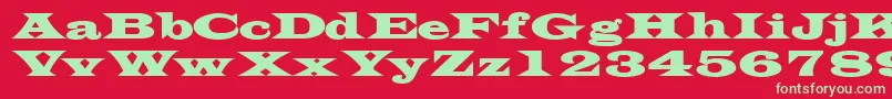 TransversesskBold Font – Green Fonts on Red Background