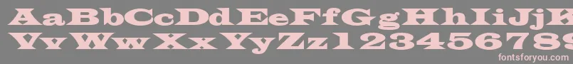 フォントTransversesskBold – 灰色の背景にピンクのフォント