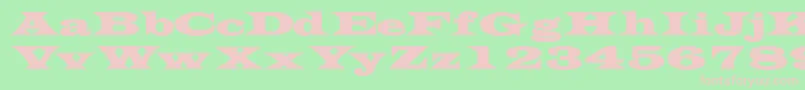 TransversesskBold Font – Pink Fonts on Green Background