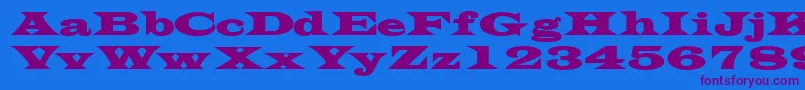 TransversesskBold Font – Purple Fonts on Blue Background