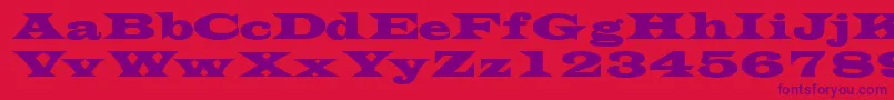 TransversesskBold Font – Purple Fonts on Red Background