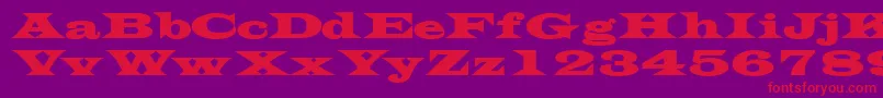 TransversesskBold Font – Red Fonts on Purple Background