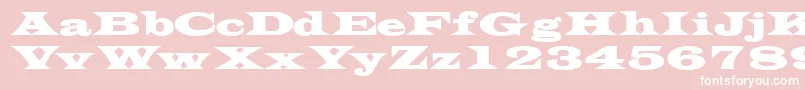 TransversesskBold Font – White Fonts on Pink Background