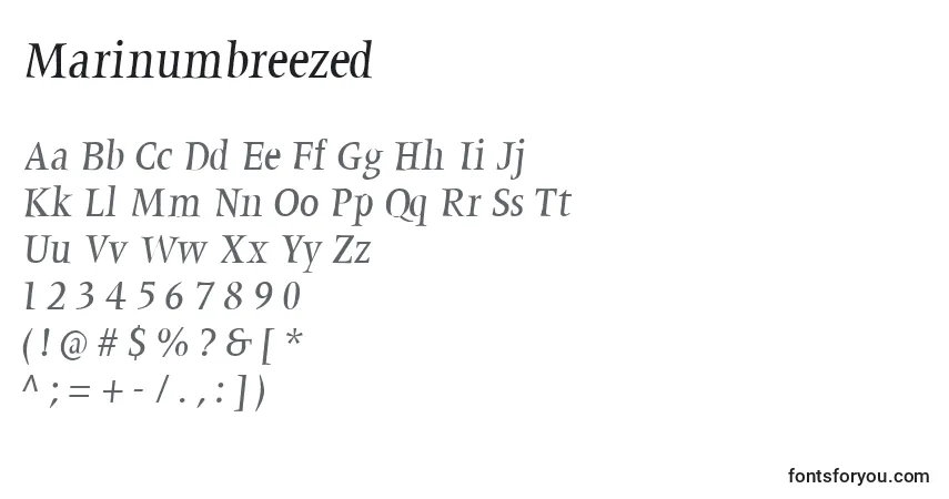 Czcionka Marinumbreezed – alfabet, cyfry, specjalne znaki