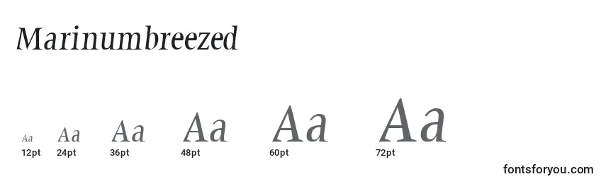 Marinumbreezed Font Sizes