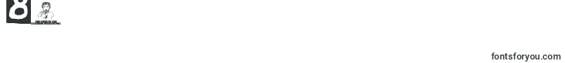 BrandonErcJuly2008 Font – Fonts for Digit 8