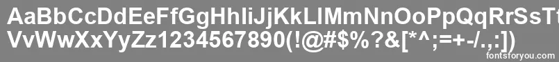 フォントArialBold – 灰色の背景に白い文字