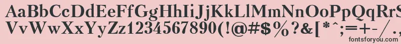 KudrashovBold.001.001 Font – Black Fonts on Pink Background