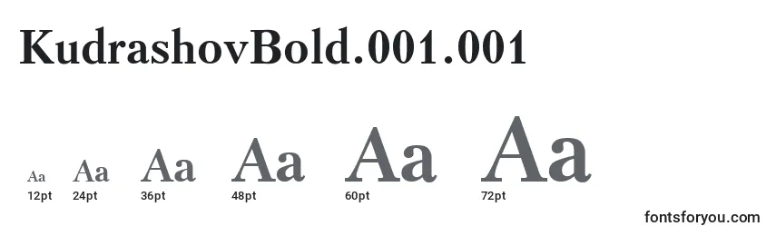 KudrashovBold.001.001 Font Sizes