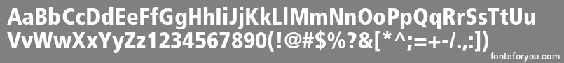 FrutigerltstdBlackcn Font – White Fonts on Gray Background