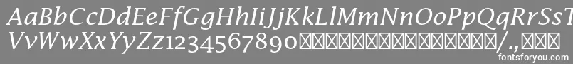 フォントLucidamathstdItalic – 灰色の背景に白い文字