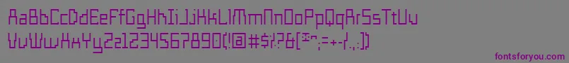 Шрифт TemploFino – фиолетовые шрифты на сером фоне
