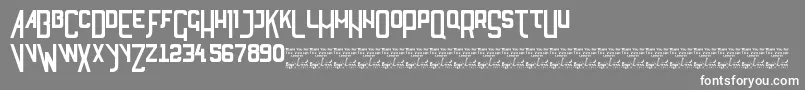SlTyftv Font – White Fonts on Gray Background