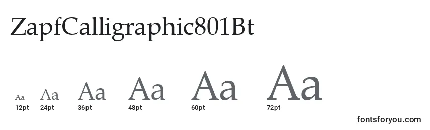 Размеры шрифта ZapfCalligraphic801Bt