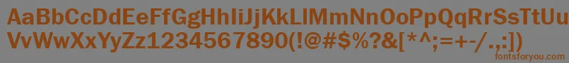 フォントFranklingothdemigtt – 茶色の文字が灰色の背景にあります。