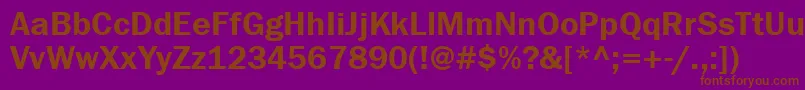 Franklingothdemigtt Font – Brown Fonts on Purple Background