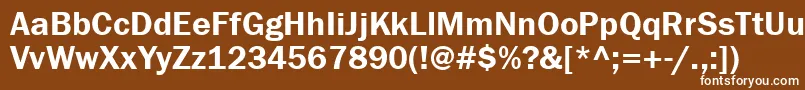 フォントFranklingothdemigtt – 茶色の背景に白い文字