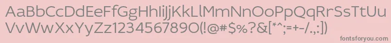 IdealistSansLight-Schriftart – Graue Schriften auf rosa Hintergrund