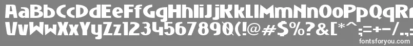 フォントNiobbl ffy – 灰色の背景に白い文字