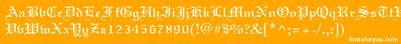 Linotext Font – White Fonts on Orange Background