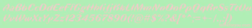 FauneDisplaybolditalic Font – Pink Fonts on Green Background