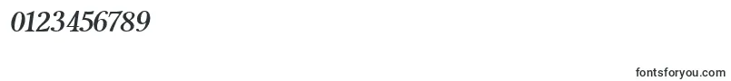 MiramarBolditalic Font – Fonts for Numbers and Digits