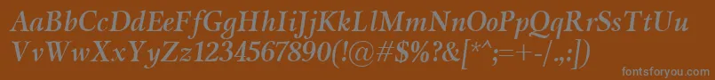 MiramarBolditalic Font – Gray Fonts on Brown Background