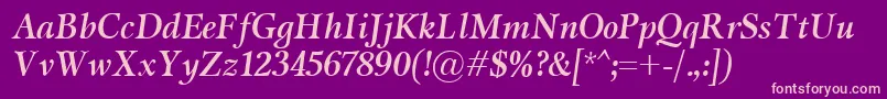 MiramarBolditalic Font – Pink Fonts on Purple Background