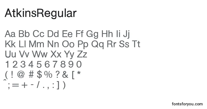 Czcionka AtkinsRegular – alfabet, cyfry, specjalne znaki