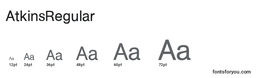 Размеры шрифта AtkinsRegular