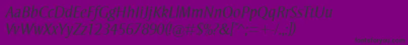 StrayhornMtLightItalic Font – Black Fonts on Purple Background