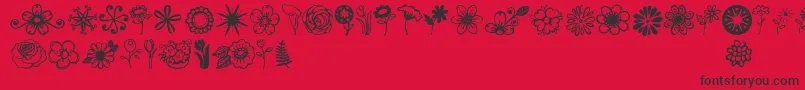 Jandaflowerdoodles Font – Black Fonts on Red Background