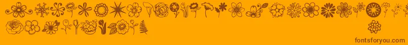 Jandaflowerdoodles Font – Brown Fonts on Orange Background