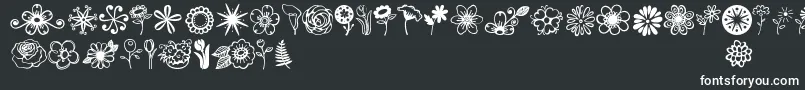 Шрифт Jandaflowerdoodles – белые шрифты