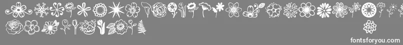 Czcionka Jandaflowerdoodles – białe czcionki na szarym tle