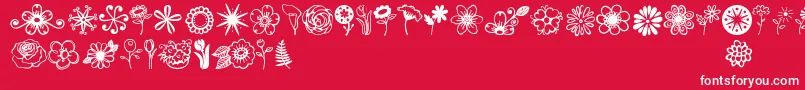 Jandaflowerdoodles-fontti – valkoiset fontit punaisella taustalla