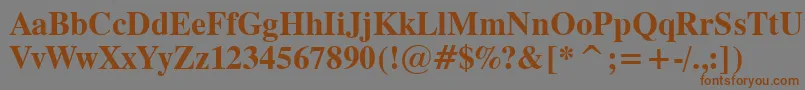 Dutch801BoldTl Font – Brown Fonts on Gray Background