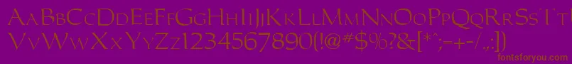 C653DecoRegular Font – Brown Fonts on Purple Background