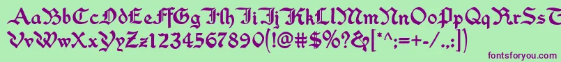 WashingtonTextRegular Font – Purple Fonts on Green Background
