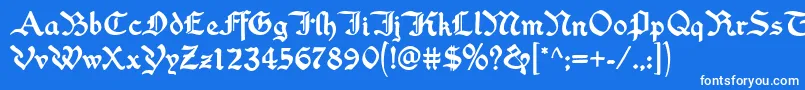 WashingtonTextRegular Font – White Fonts on Blue Background
